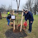 Beograd bogatiji za 189 stabala