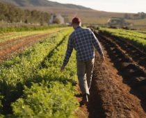 Kompanija Mars najavila postizanje nulte emisije gasova sa efektom staklene bašte do 2050. godine