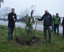 Grad Požarevac i Bambi započeli obnovu „Bambi parka“