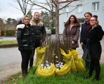 Kompanija Carlsberg Srbija donirala 1000 sadnica belog jasena