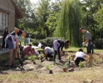 U Gastrošoru prva beogradska kišna bašta u okviru projekta „Niklo kao ja“