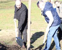 Kompanija NIS podržala akciju „Sadimo sada za budućnost Novog Sada“