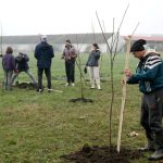 Do 22. maja traje konkurs Trag fondacije za projekte javnog zagovaranja “Istraži-osnaži”