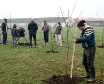 Do 22. maja traje konkurs Trag fondacije za projekte javnog zagovaranja “Istraži-osnaži”