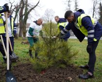 ZAPOSLENI KOMPANIJE CARLSBERG SRBIJA OBNOVILI PARK U ČELAREVU